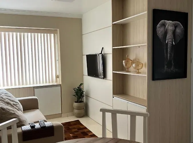 Apartamento No Centro De Curitiba,Bem Localizado E Confortavel